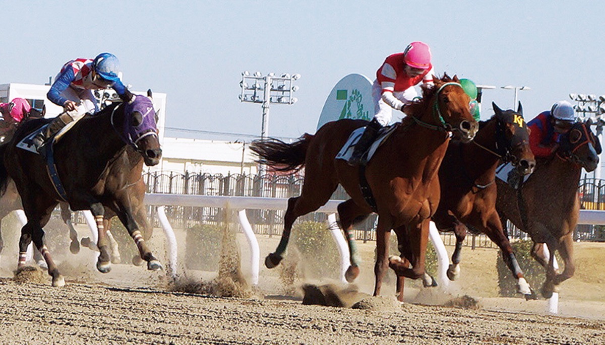 最後の直線で追い込み（ピンク帽）