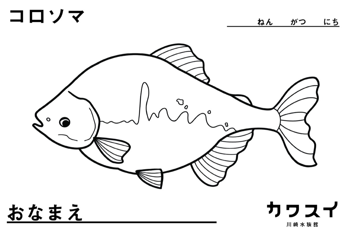 Web限定記事 川崎水族館が塗り絵公開 水辺の生き物を彩ろう 公式ツイッターで配布 川崎区 幸区 タウンニュース