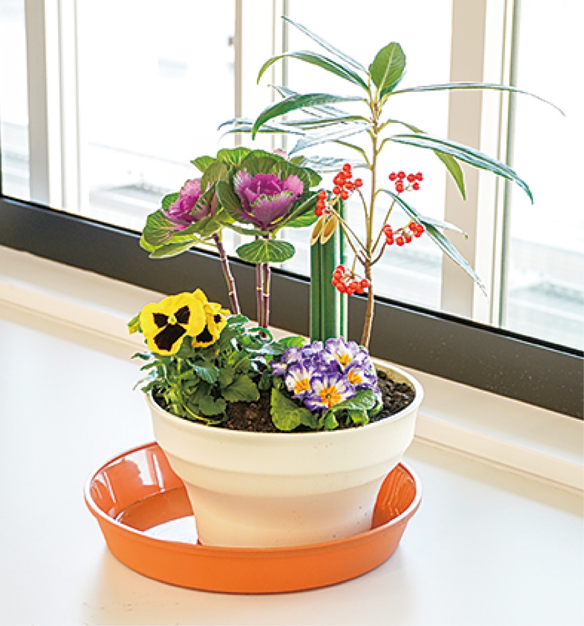 12月3日 正月の寄せ植え講座 さいわい花クラブ伝授 | 川崎区・幸区