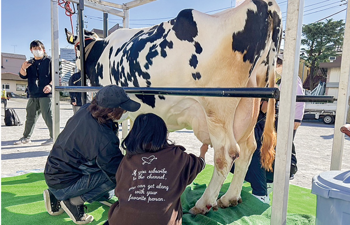 搾乳体験する児童＝幸町小提供