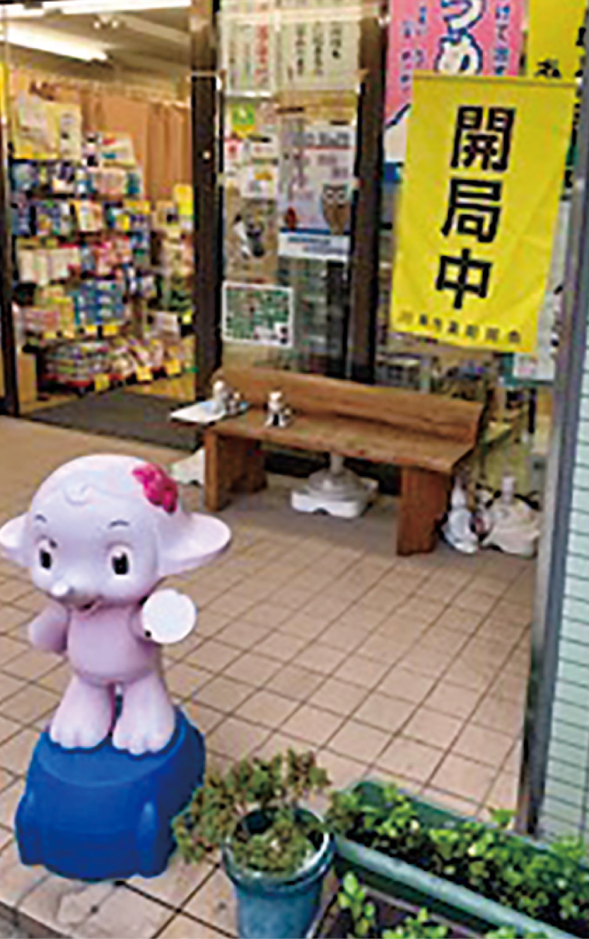 店先の「開局中」の黄色い旗が目印