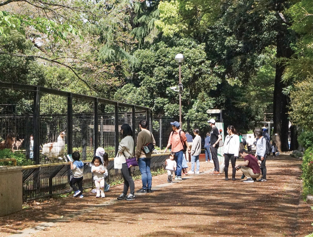 親子連れが多い夢見ヶ崎動物公園