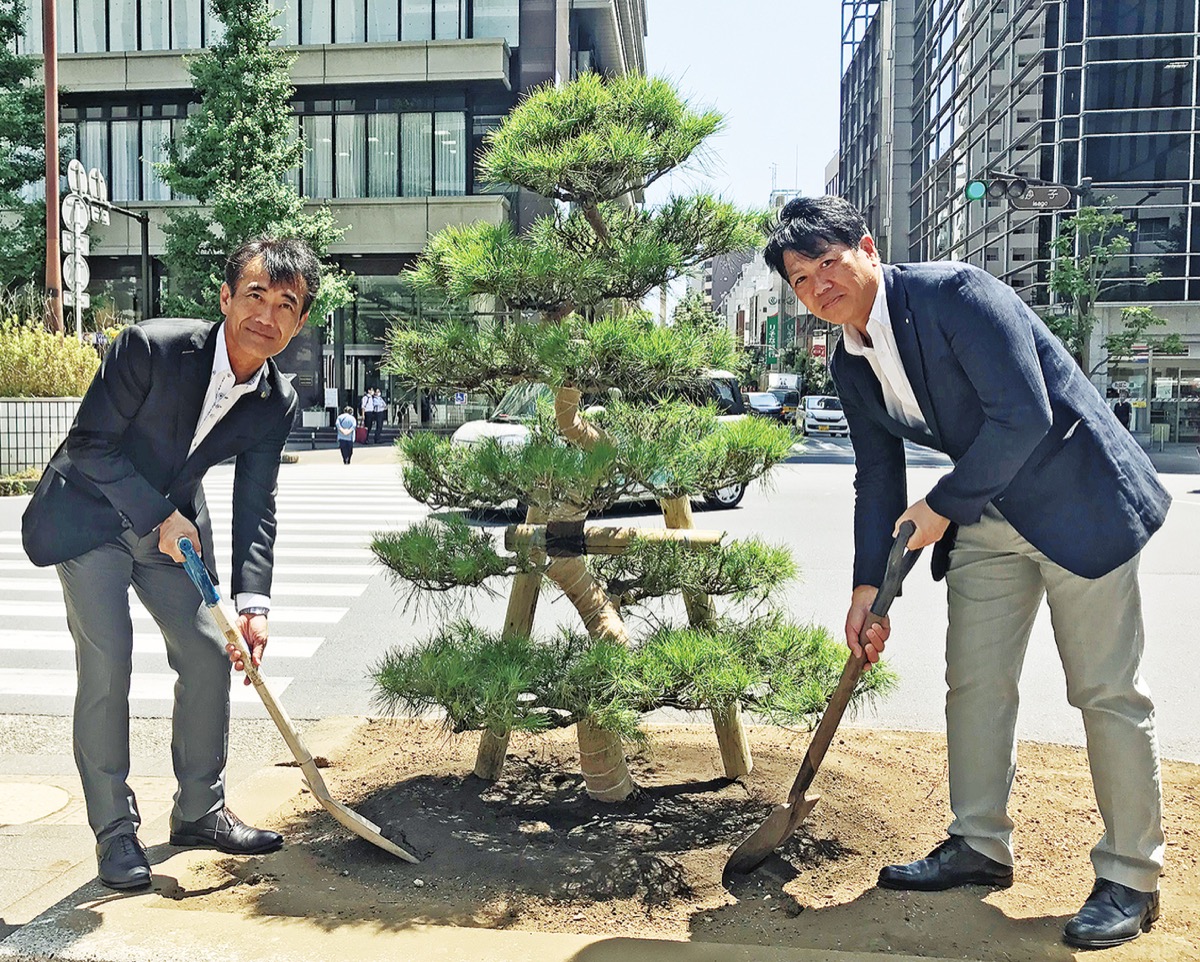 川崎RC 東海道象徴の松、寄贈 砂子交差点に植樹 | 川崎区・幸区