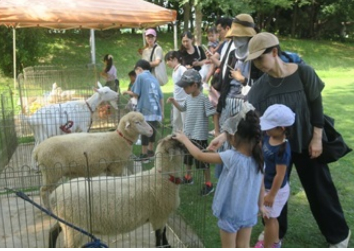 マリエンで遊び尽くそう