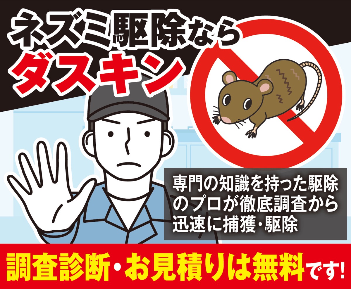 ネズミ被害が増加中!?