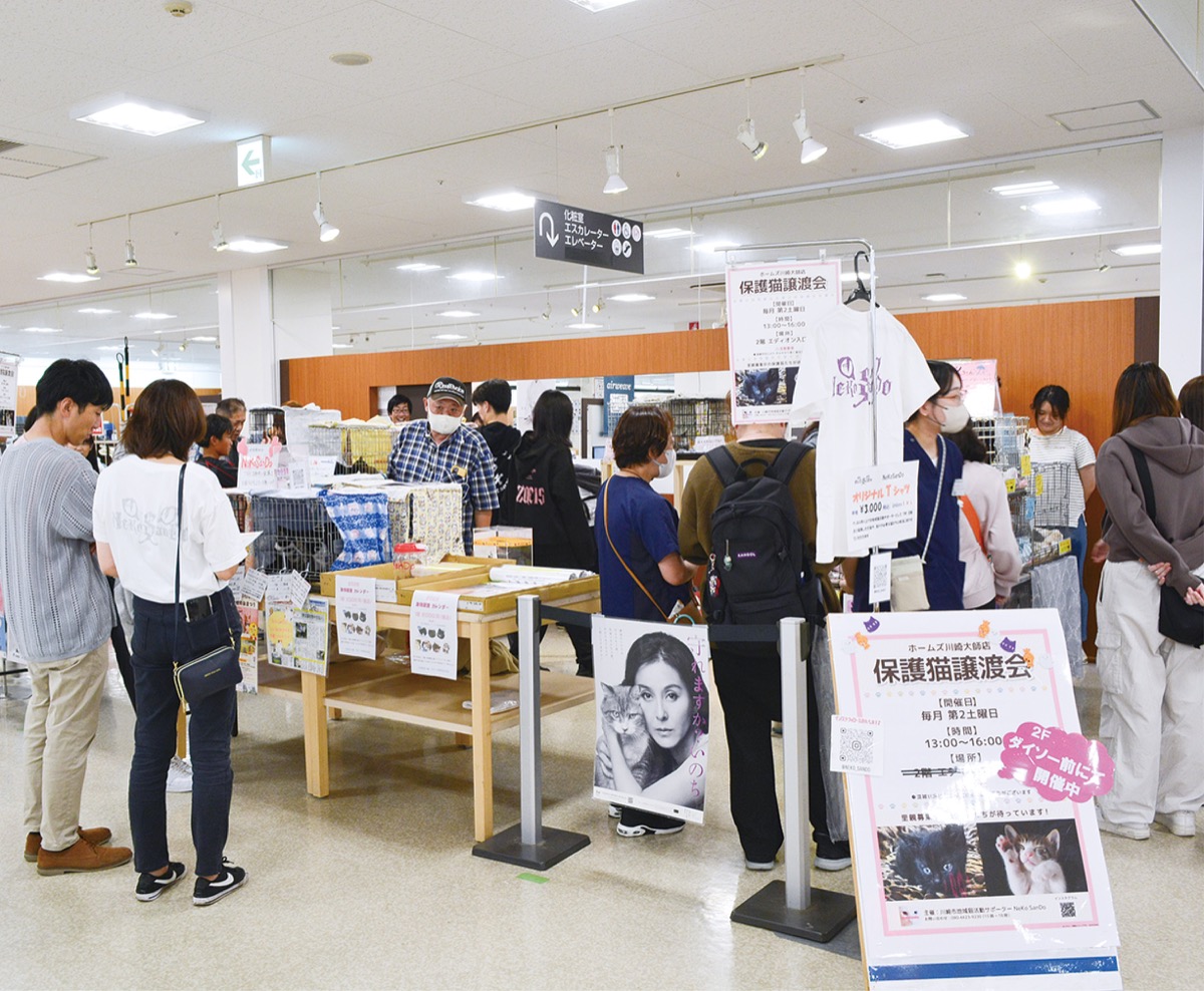 譲渡会１年で手応え