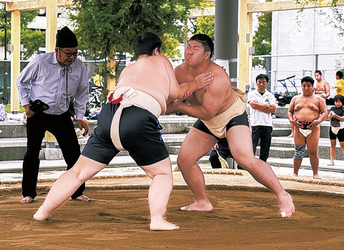 はっけよい 土俵で熱戦