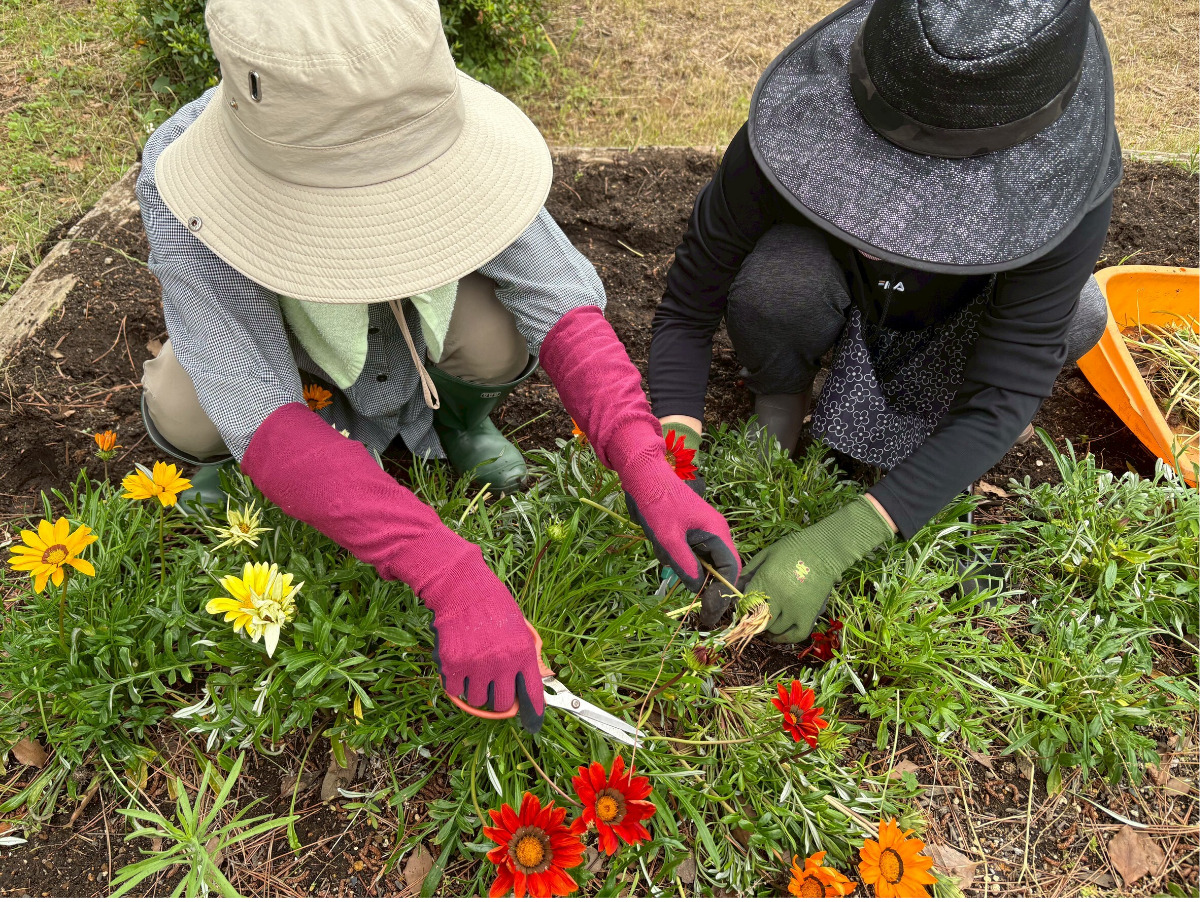緑と愛犬に親しむ