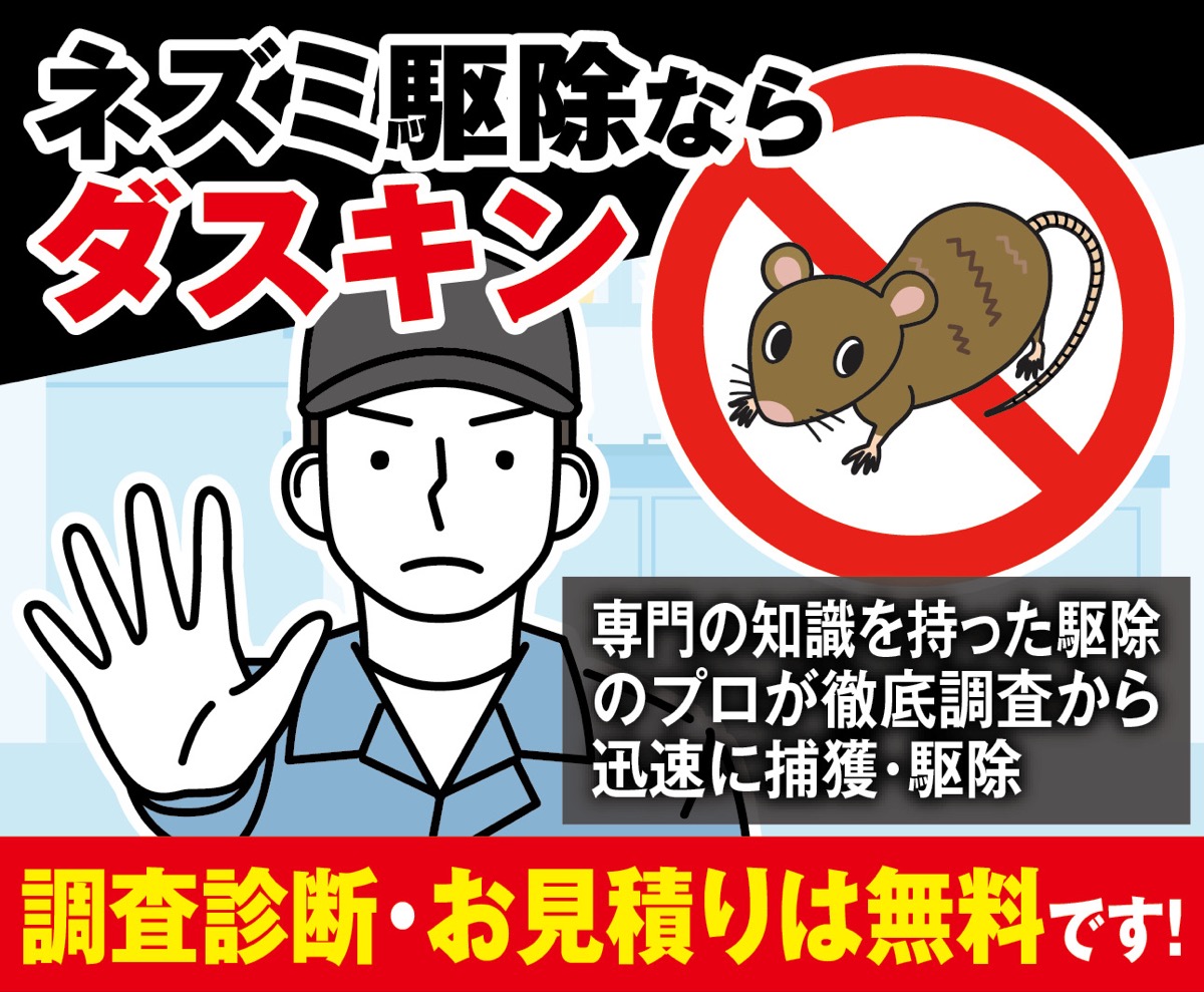 ネズミ被害が増加中!?