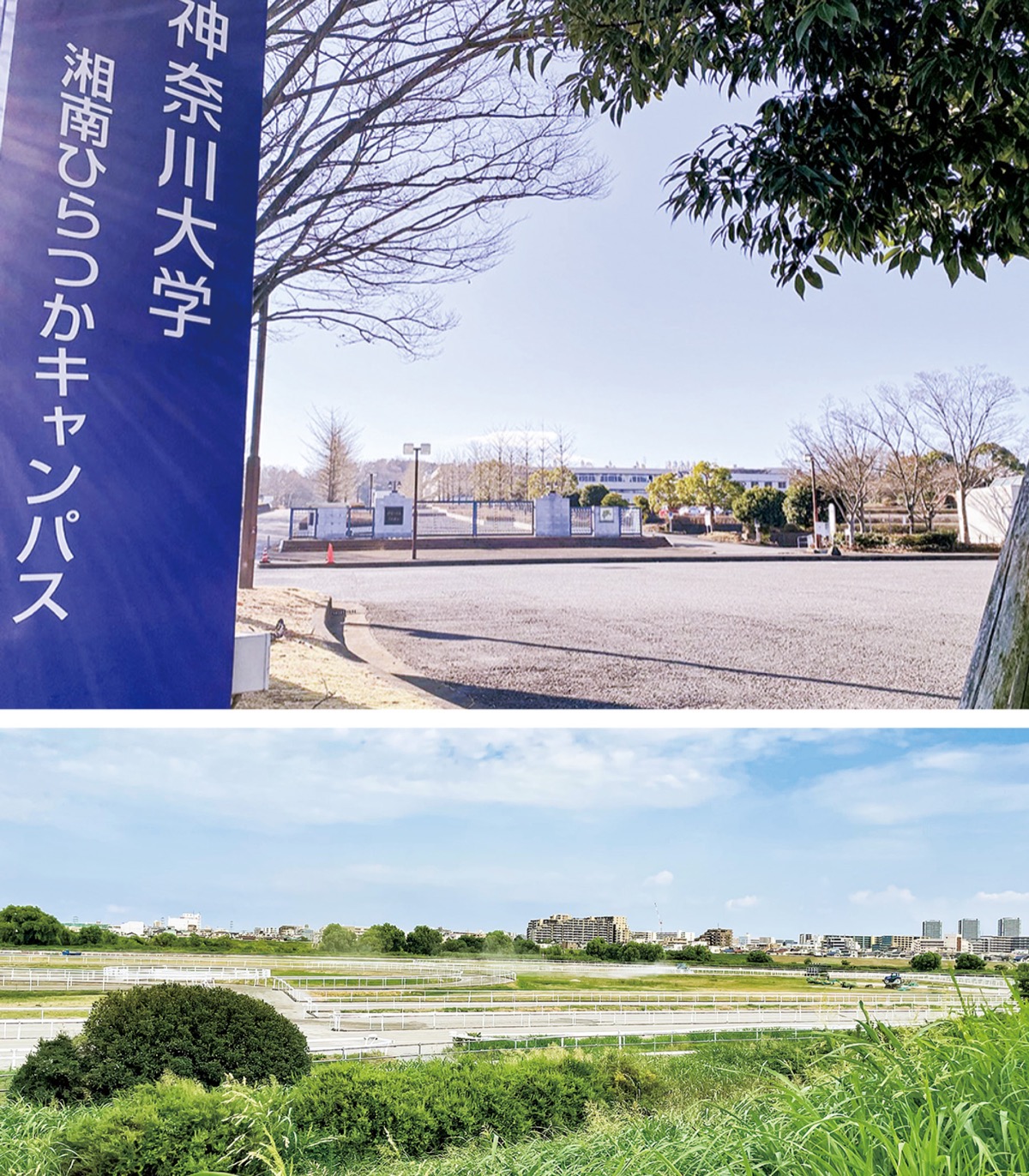 トレセン神大移転断念