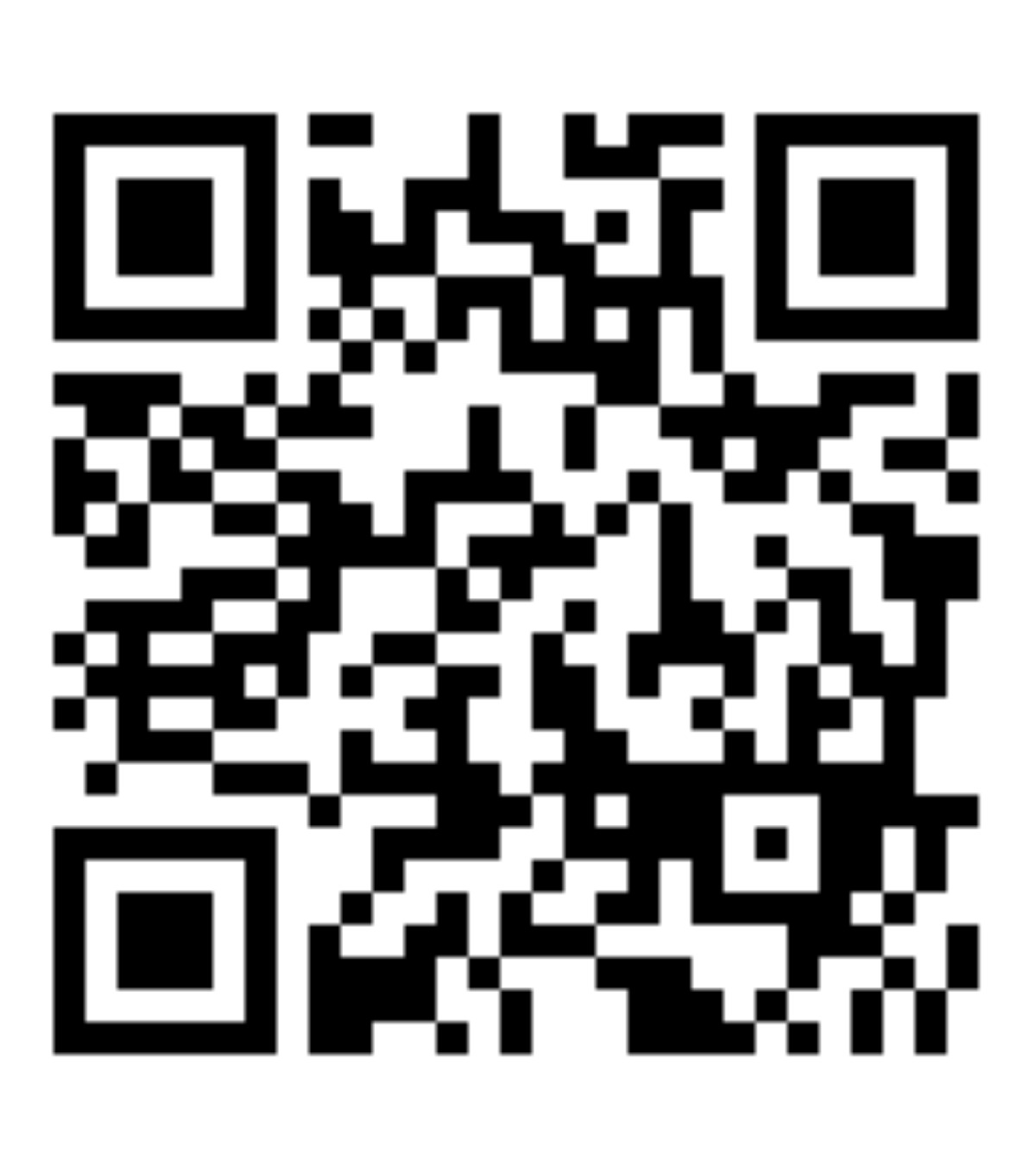 親子で遊んで、学ぶ (写真2)