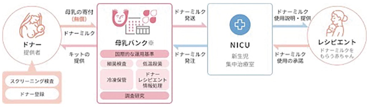 善意の母乳が救う 小さく生まれた｢いのち｣ (写真3)