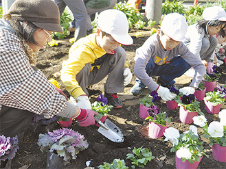 ボランティアの指導のもと、花植えに挑戦する児童