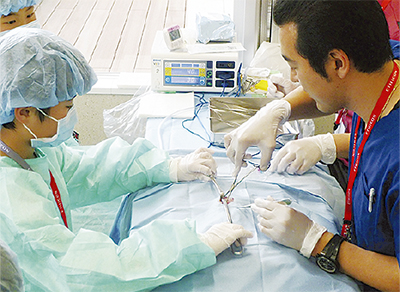 夏休み模擬オペ体験