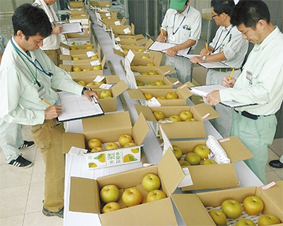 地場産ナシ・ブドウ競う