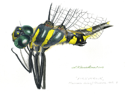 標本資料が語るもの