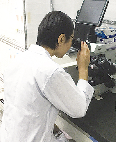 藻類を観察しよう