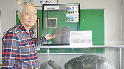 フタゴヤシの種子を寄贈