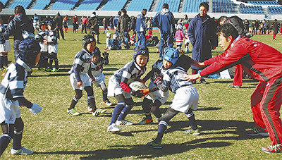 だ円球追いかけ交流