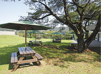 楽しいＢＢＱを満喫しよう