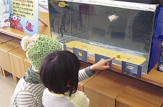 ミニ水族館で魚を間近に見られる