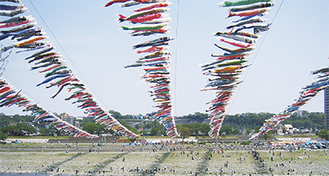 相模川の上空に舞う色とりどりの鯉のぼり＝市商業観光課提供