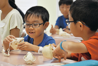 教材として用意されたタヌキの骨を観察する子ども