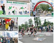 若葉まつりに40万人