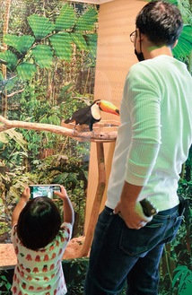 人気のオニオオハシを撮影する子ども＝２日