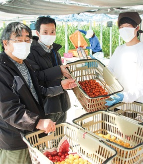 緑区大島の開発農場でミニトマトを受け取る吉澤代表（左）と市職員の牛田さん（中央）。右は同社スタッフ＝2月18日