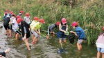 相模川で生き物を捕まえる児童たち＝同校提供