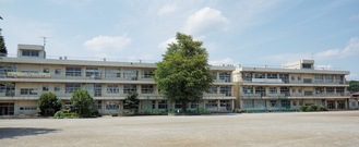 校舎の前にシンボルにもなっている大銀杏が鎮座する上溝小学校