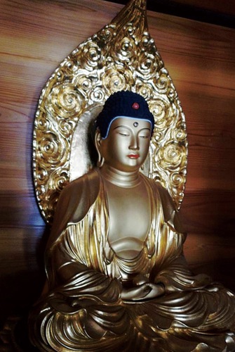 本堂に安置されている薬師如来＝６月の仏像調査中に薬師如来本開帳運営委員長が撮影