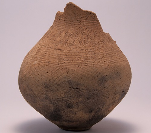 出土地：中野大沢遺跡時代：弥生時代