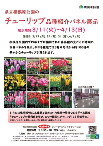 パネル展示の告知ポスター