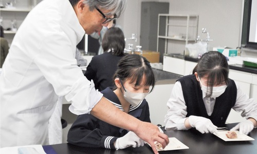 島津教授の指導を受けながらピンセットを使いペットフードの鶏の水煮の頭蓋骨を外す参加者