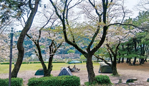 上大島キャンプ場（４月14日撮影）