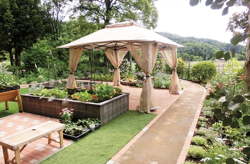 昨年開催時の様子