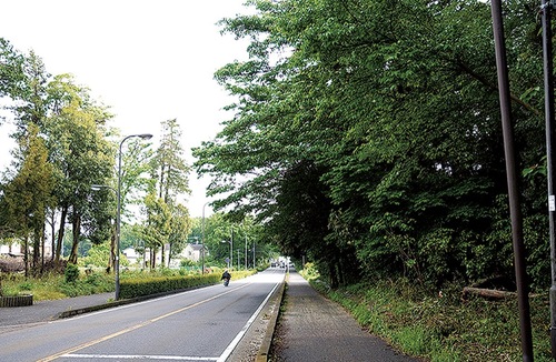 発生現場付近の市道と木もれびの森