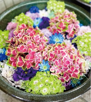 相模原市の花「あじさい」をメインにした特別バージョンも公開される予定