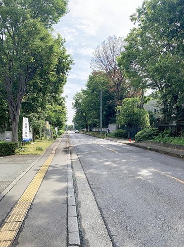 博物館前の市道