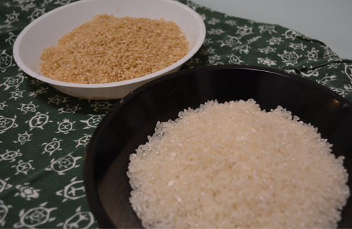 ちから米穀で販売中の備蓄米（奥は玄米）