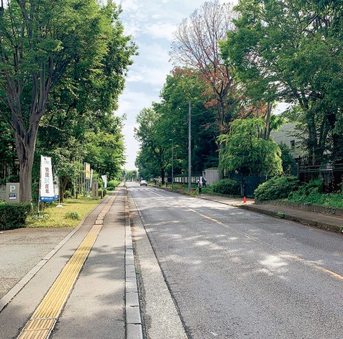 愛称が決まったプラネタリウム前の市道