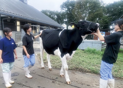 コハナの調教をする宮崎さん（右）、新明さん（中央）、加藤さん