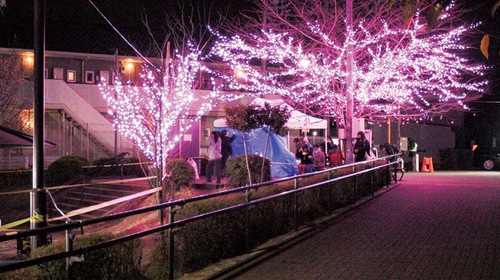 昨年のイルミネーション