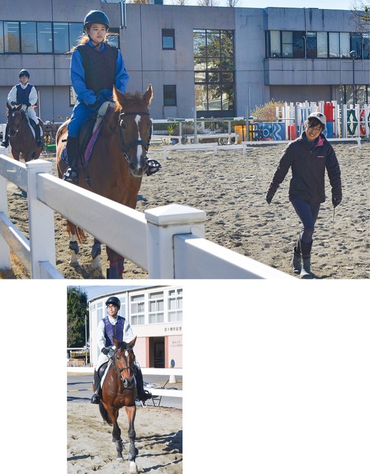 学内の馬場で馬を乗りこなす学生。授業が最終盤に差し掛かる頃には一人で馬に乗り軽速歩で走れるほどにまで上達する