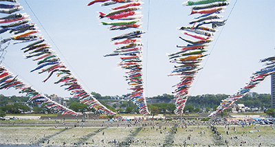 大空泳ぐ 鯉のぼり