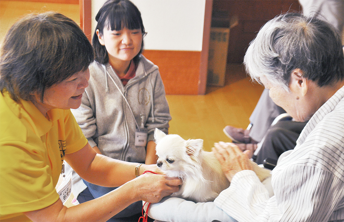 セラピー犬 笑顔、交流生む