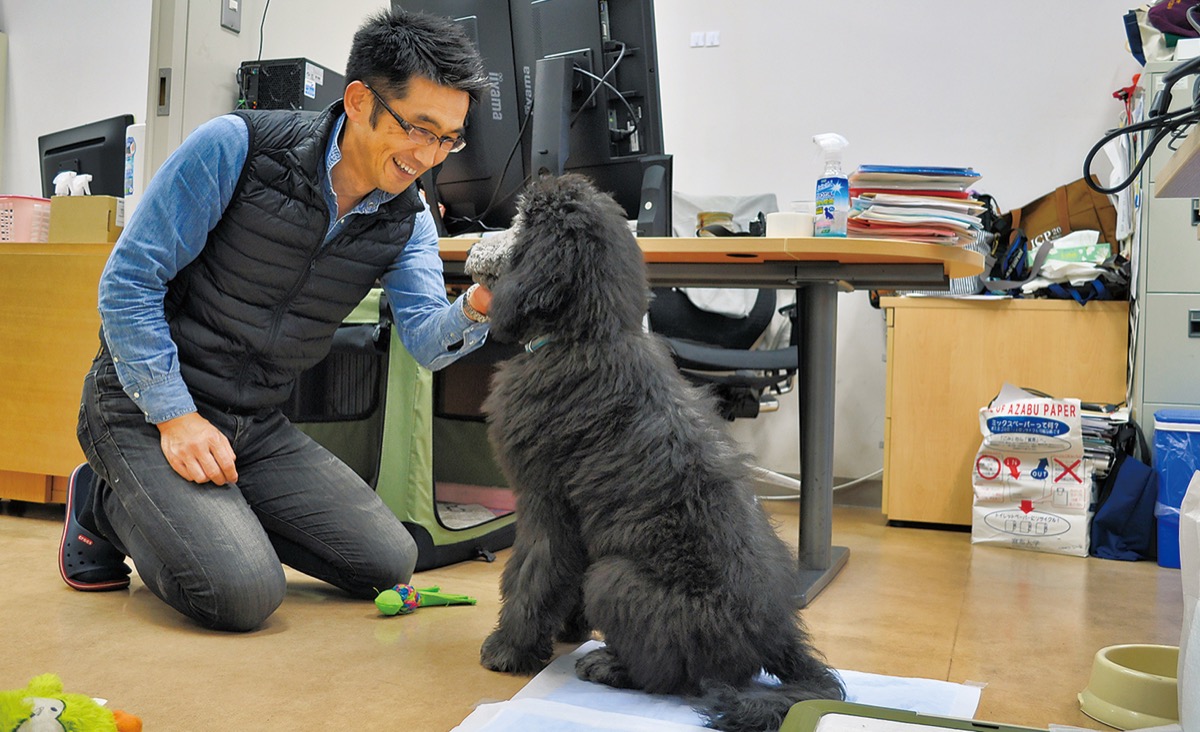 犬は社会情勢を映す鏡 麻布大学伴侶動物研究室 茂木一孝さん 47 さがみはら中央区 タウンニュース