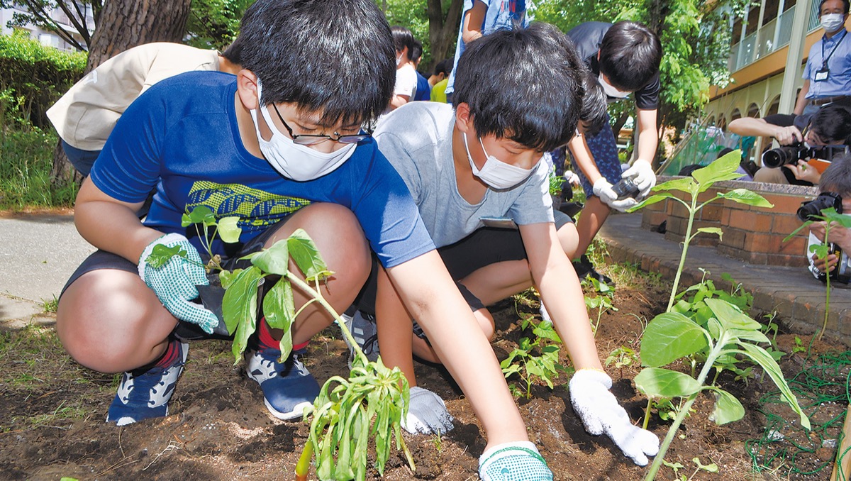 希望の花 咲きますように 富士見小で全校行事 さがみはら中央区 タウンニュース